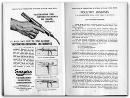 1938 Page 12 13